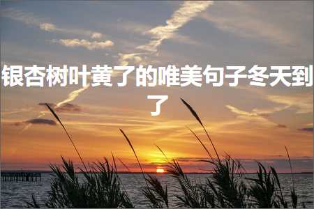 閾舵潖鏍戝彾榛勪簡鐨勫敮缇庡彞瀛愬啲澶╁埌浜嗭紙鏂囨348鏉★級